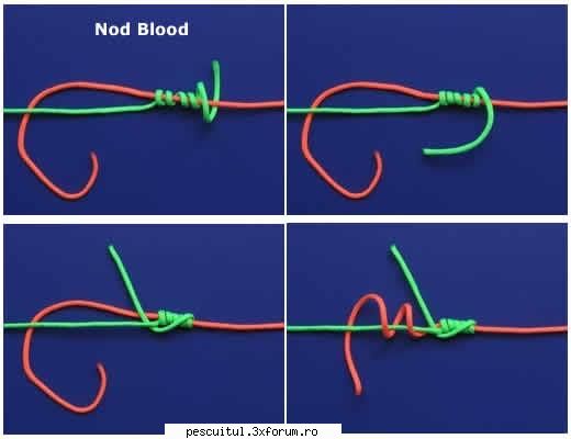 Nodul Blood - mircea - NOTIUNI DE BAZA IN PESCUIT