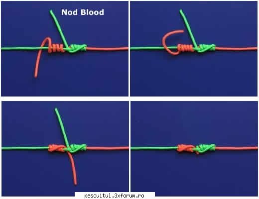 Nodul Blood - mircea - NOTIUNI DE BAZA IN PESCUIT