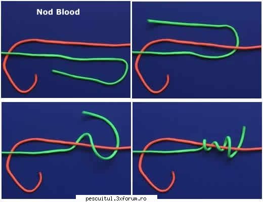 Nodul Blood - mircea - NOTIUNI DE BAZA IN PESCUIT