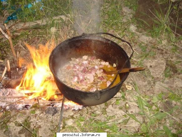 Nu e peste ? Tocanita de pipote si inimi ! - Modigliani - RETETE - bors de peste , peste la gratar , peste la cuptor ....