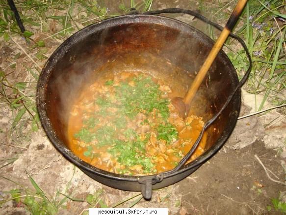Nu e peste ? Tocanita de pipote si inimi ! - Modigliani - RETETE - bors de peste , peste la gratar , peste la cuptor ....