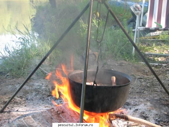 Nu e peste ? Tocanita de pipote si inimi ! - azazel - RETETE - bors de peste , peste la gratar , peste la cuptor ....