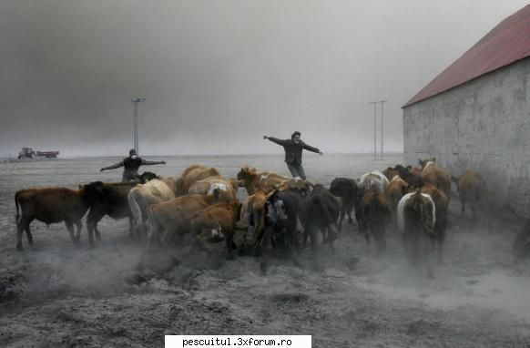 Omul ... o fiinta fara putere in fata Mamei Natura - Nemernic - CAFENEA - DISCUTII OFF TOPIC