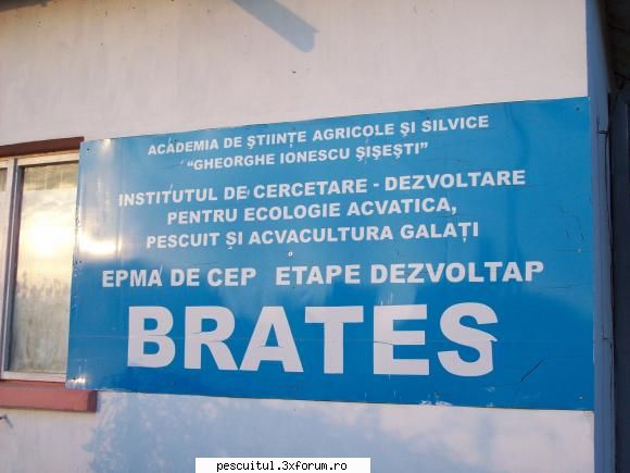 Partide de pescuit! - Rockyonutz - JURNAL DE PARTIDA - POVESTIRI PE-NDELETE !
