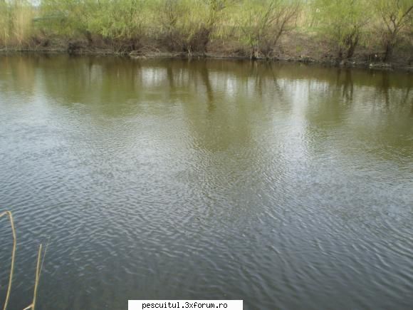 Partide de pescuit! - Canalul de la Strunga (jud. C-ta) - JURNAL DE PARTIDA - POVESTIRI PE-NDELETE !