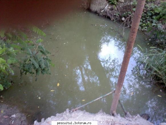 Partide de pescuit! - Apoi am hotarat sa incerc si pe un canal - JURNAL DE PARTIDA - POVESTIRI PE-NDELETE !