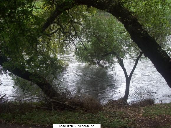 Partide de pescuit! - Zona de dupa cascada...nu am mai vazut de - JURNAL DE PARTIDA - POVESTIRI PE-NDELETE !