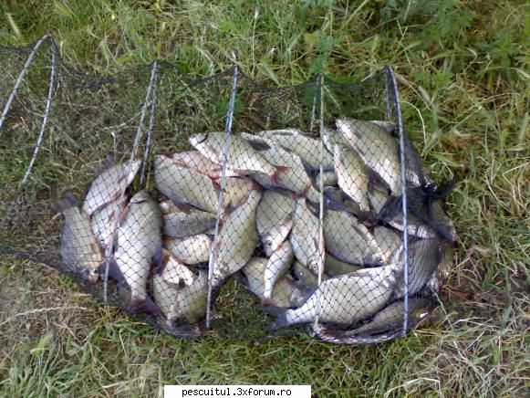 Partide de pescuit! - 11 kg de platica, o sa iasa o marinata - JURNAL DE PARTIDA - POVESTIRI PE-NDELETE !