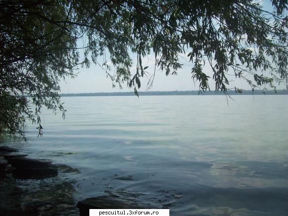 Partide de pescuit! - Topicul nu a fost continuat din cauza - JURNAL DE PARTIDA - POVESTIRI PE-NDELETE !