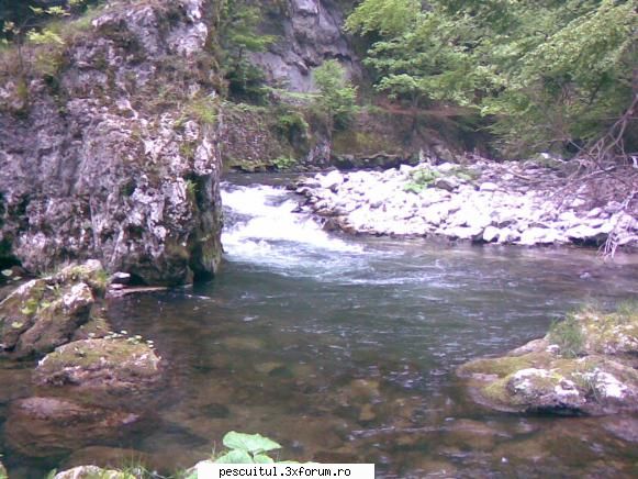 Pastrav - Pescuitul pastravului - Valea Sohodolului, Gorj, ceva incredibil - SPECII DE PESTI