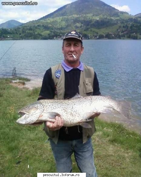 Pastravul de lac - Un alt peste de poveste prins la noi in tara pe - SPECII DE PESTI
