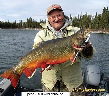 Pastravul fantanel - Recordul mondial category: rod & reel weight - SPECII DE PESTI