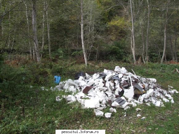 Pe unde mai umblam- POZE - Fauna bogata, cel mai raspandit animal : "Bizonul - CALATORII SI INTALNIRI