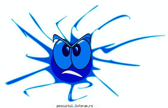 Pecuit cu turtoi - Asta e ..... ORICE , ..... numai subiect de - PESCUIT LA RAPITORI - DISCUTII GENERALE