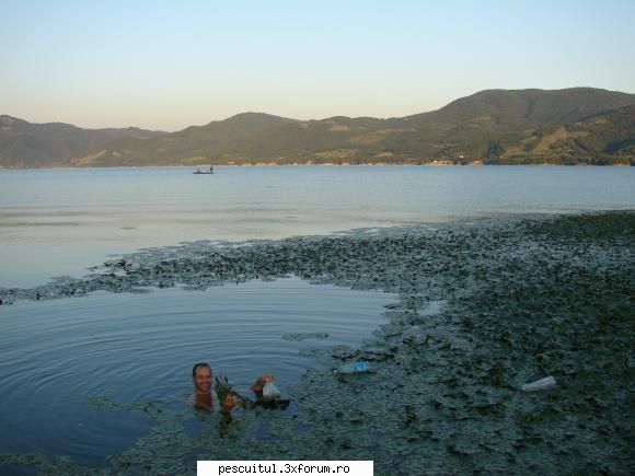 Peisaje intalnite de pescari . ( non pescuit ) - Ati mancat ciulini de apa?la cules - POZELE MELE - PESCUIT