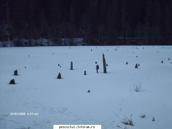 Peisaje intalnite de pescari . ( non pescuit ) - Lacu Rosu, inghetat bocna - POZELE MELE - PESCUIT