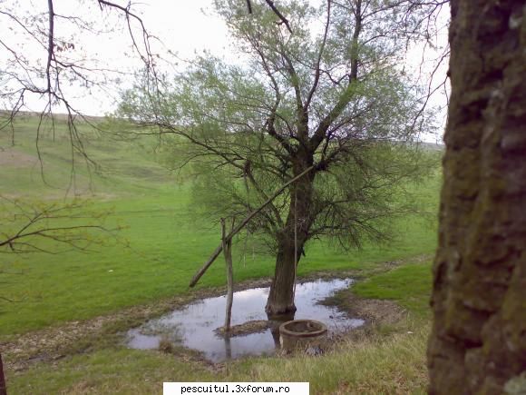 Peisaje intalnite de pescari . ( non pescuit ) - "Fantana ciontului" - POZELE MELE - PESCUIT