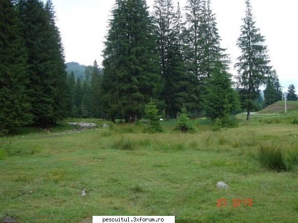 Peisaje intalnite de pescari . ( non pescuit ) - Locul de camping - POZELE MELE - PESCUIT