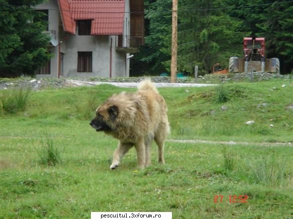 Peisaje intalnite de pescari . ( non pescuit ) - Unde-i ursu' mah ? Ia aduceti-l - POZELE MELE - PESCUIT