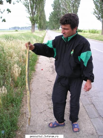 Peisaje intalnite de pescari . ( non pescuit ) - Ramasese-m dator la nu`s tiu ce - POZELE MELE - PESCUIT
