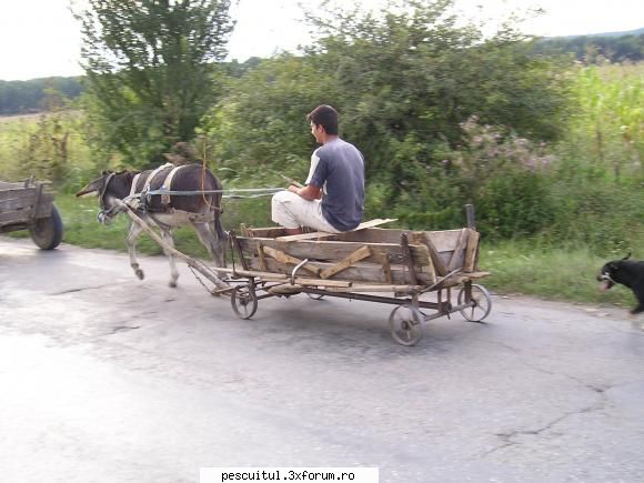 Peisaje intalnite de pescari . ( non pescuit ) - In traseele mele cu bike-ul ,am - POZELE MELE - PESCUIT