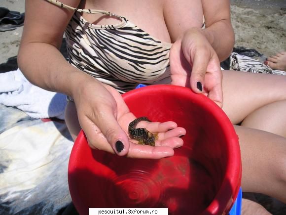 Peisaje intalnite de pescari . ( non pescuit ) - Si 1 peste papagal prins in - POZELE MELE - PESCUIT