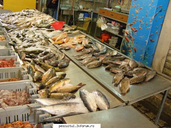 Peisaje intalnite de pescari . ( non pescuit ) - valy - POZELE MELE - PESCUIT