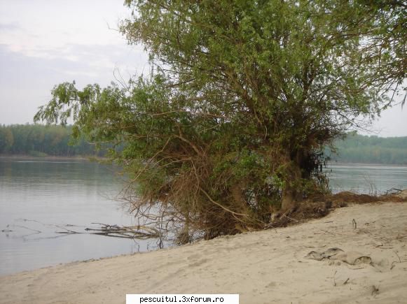 Peisaje intalnite de pescari . ( non pescuit ) - Modigliani - POZELE MELE - PESCUIT