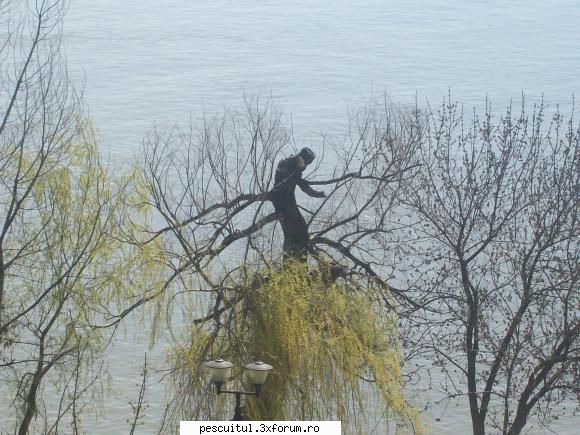 Peisaje intalnite de pescari . ( non pescuit ) - Copacul cersetor de pe faleza - POZELE MELE - PESCUIT