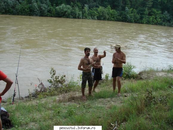 Pescar Hoinar - Arges , Bolintin-Ogrezeni , 18,19,20 Iunie - Apoi instalat artileria - CALATORII SI INTALNIRI