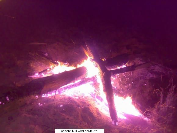 Pescar Hoinar - Arges , Bolintin-Ogrezeni , 18,19,20 Iunie - focu' arde..carnea astea - CALATORII SI INTALNIRI