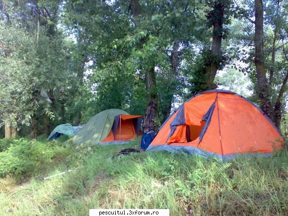 Pescar Hoinar - Arges , Bolintin-Ogrezeni , 18,19,20 Iunie - Minciogul l-am udat doar - CALATORII SI INTALNIRI