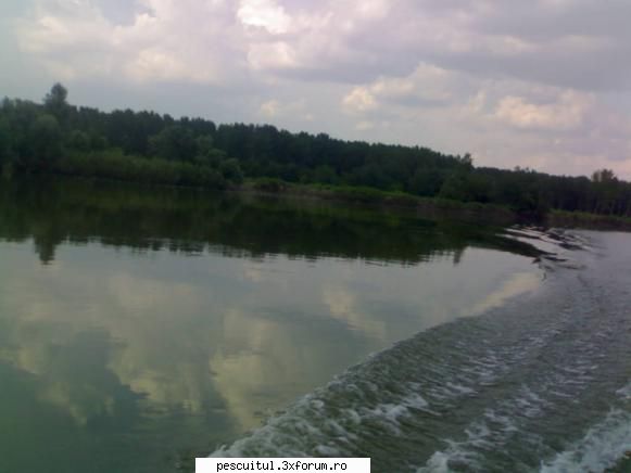 Pescar Hoinar - Dabuleni , August - locul cu pricina vazut de pe apa - CALATORII SI INTALNIRI