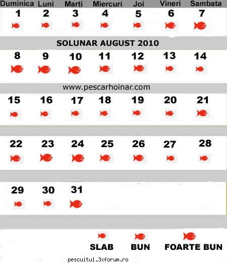 Pescar Hoinar - Dabuleni , August - Pe solunar cadem prost de tot . Sa vedem care-o - CALATORII SI INTALNIRI