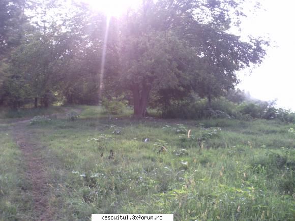 Pescar Hoinar - Dabuleni , August - Asa ca locatia ar trebui sa ramana cea initiala - CALATORII SI INTALNIRI