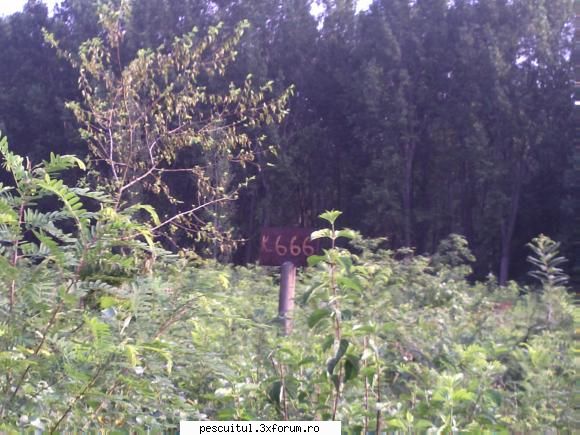 Pescar Hoinar - Dabuleni , August - Drignei - CALATORII SI INTALNIRI