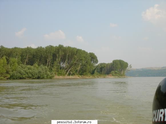 Pescar Hoinar - Dabuleni , August - Modigliani - CALATORII SI INTALNIRI