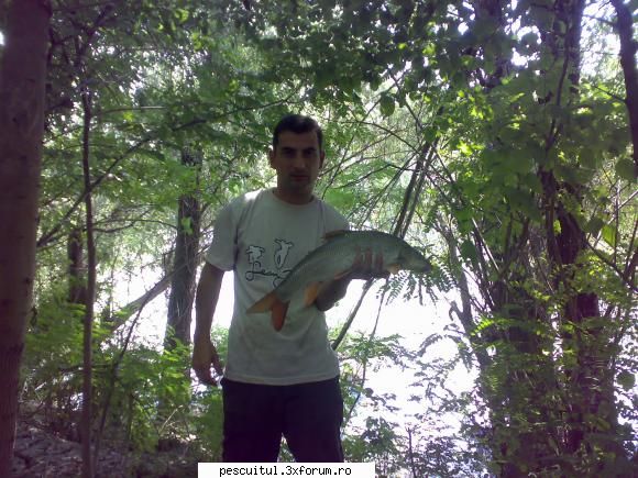 Pescar Hoinar - Dabuleni , August - luat o mreana mai frumoasa (2.6kg), ciortan - CALATORII SI INTALNIRI