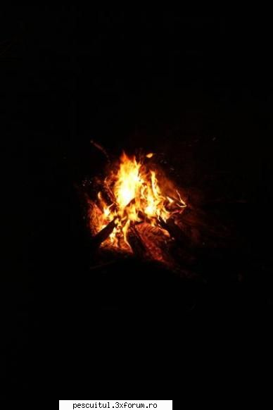 Pescuit cu surprize pe Arges ! - Si .... cel mai frumos moment al - PESCUITUL PE RAURI (altele decat Dunarea)