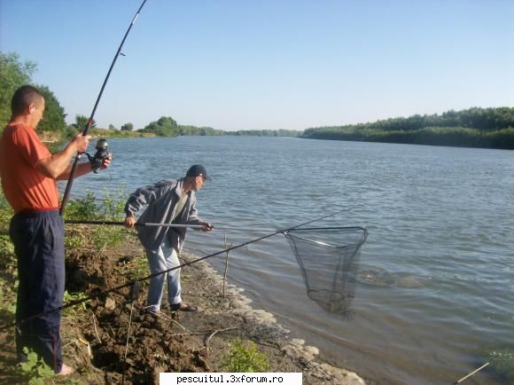 Pescuit in Delta Dunarii - ispasirinel - PESCUIT LA DUNARE SI IN DELTA DUNARII