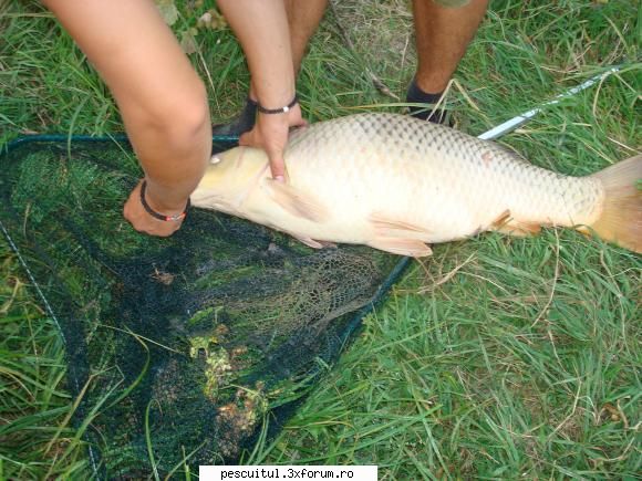 Pescuit in Delta Dunarii - chupacabra mondiale! - PESCUIT LA DUNARE SI IN DELTA DUNARII
