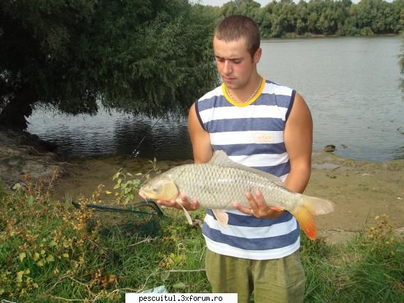 Pescuit in Delta Dunarii - tzu_tzu_rel - PESCUIT LA DUNARE SI IN DELTA DUNARII