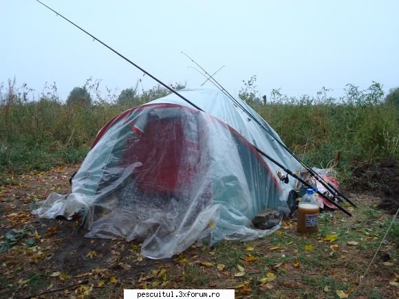Pescuit in Delta Dunarii - si vizuina mea...! aici se intampla - PESCUIT LA DUNARE SI IN DELTA DUNARII
