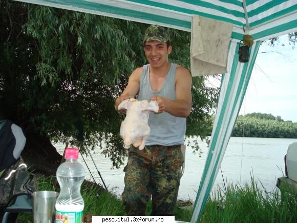 Pescuit in Delta Dunarii - trezit la 5..trecut cu bacul de 7, da-i - PESCUIT LA DUNARE SI IN DELTA DUNARII