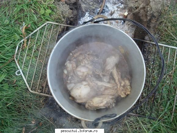 Pescuit in Delta Dunarii - si destrabalarea! - PESCUIT LA DUNARE SI IN DELTA DUNARII