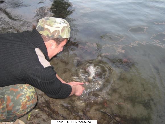 Pescuit in Delta Dunarii - ciortanica...ciortanica - PESCUIT LA DUNARE SI IN DELTA DUNARII