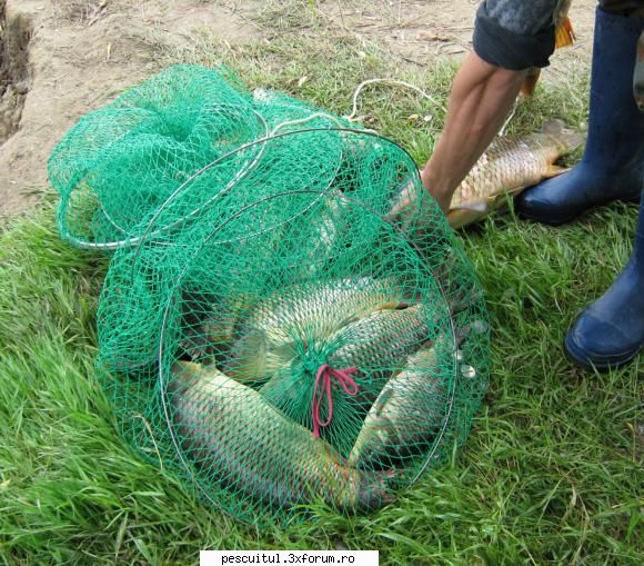 Pescuit in Delta Dunarii - cand la una,cand la alta..mai o - PESCUIT LA DUNARE SI IN DELTA DUNARII