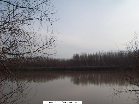 Pescuit in judetul Galati - 3.Siretul-mult mai imprevizibil decat - PESCUIT - ALBA , ARAD , ARGES....etc.