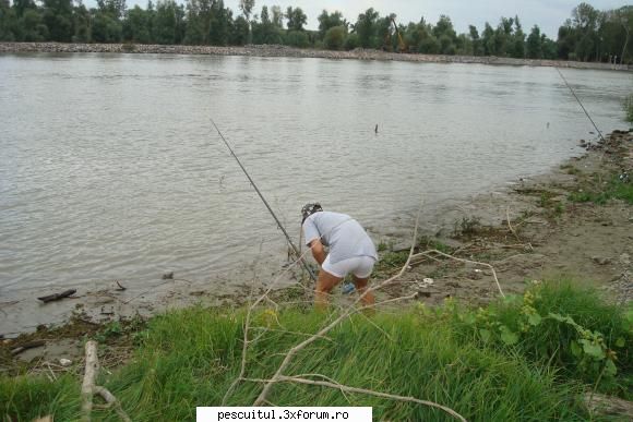 Pescuit, intamplari si aventuri in Delta Dunarii ... - tzu_tzu_rel - JURNAL DE PARTIDA - POVESTIRI PE-NDELETE !