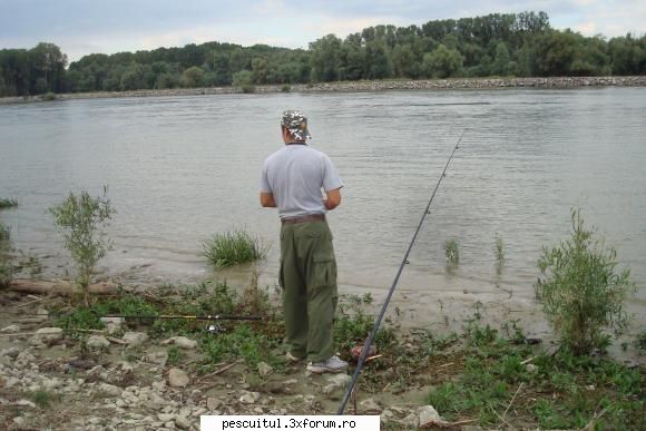 Pescuit, intamplari si aventuri in Delta Dunarii ... - tzu_tzu_rel - JURNAL DE PARTIDA - POVESTIRI PE-NDELETE !